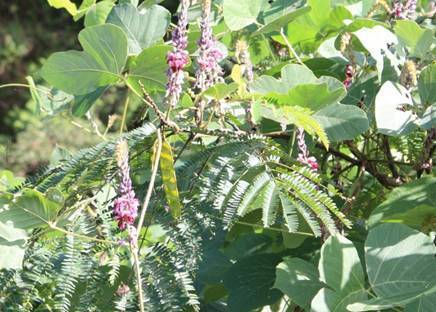20110828_2189116.jpg