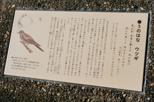 20200509205835.jpg