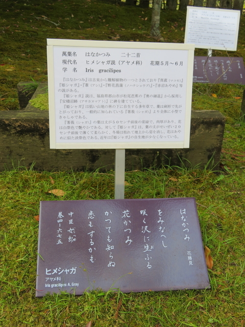 20210707110912.jpg