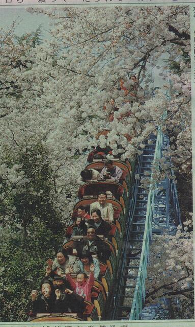 サクラ493e0561.jpg