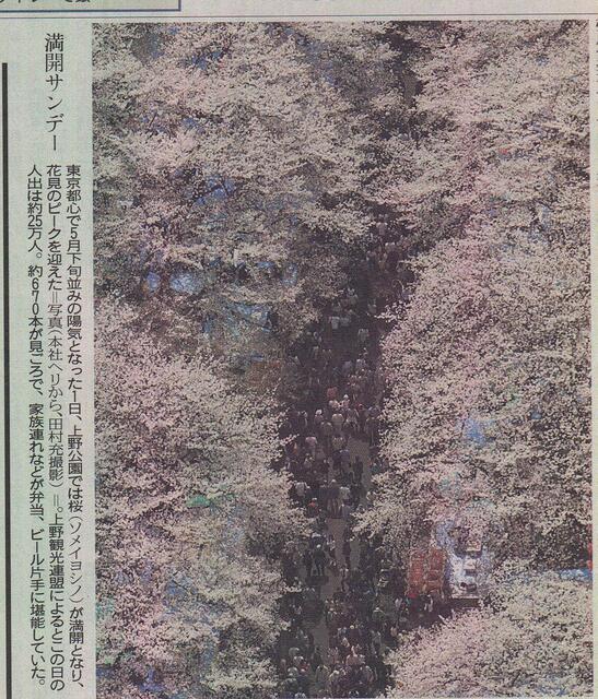 桜70c1fdc1.jpg