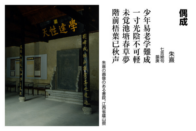 偶成8bf0687f (1).png
