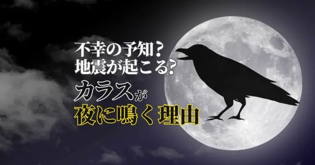 カラス.png