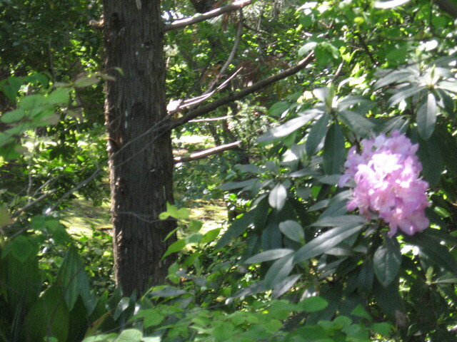 IMG_2647.JPG