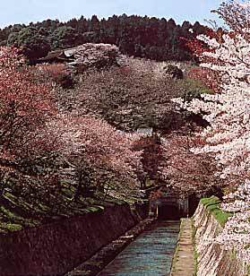 長等山c79cd4b1.jpg