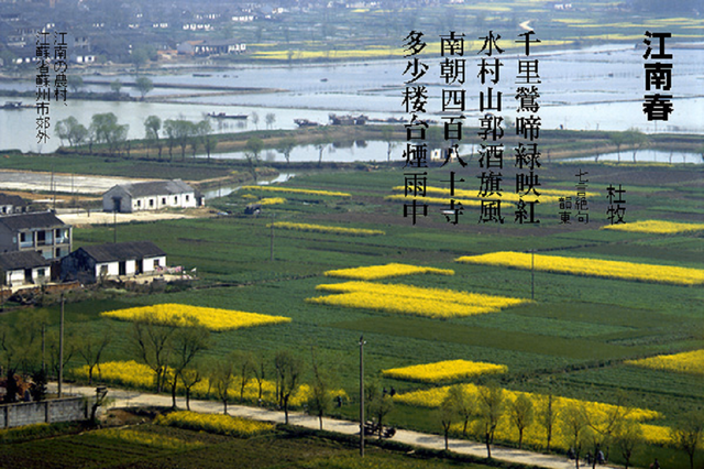 江南春cef94396.png